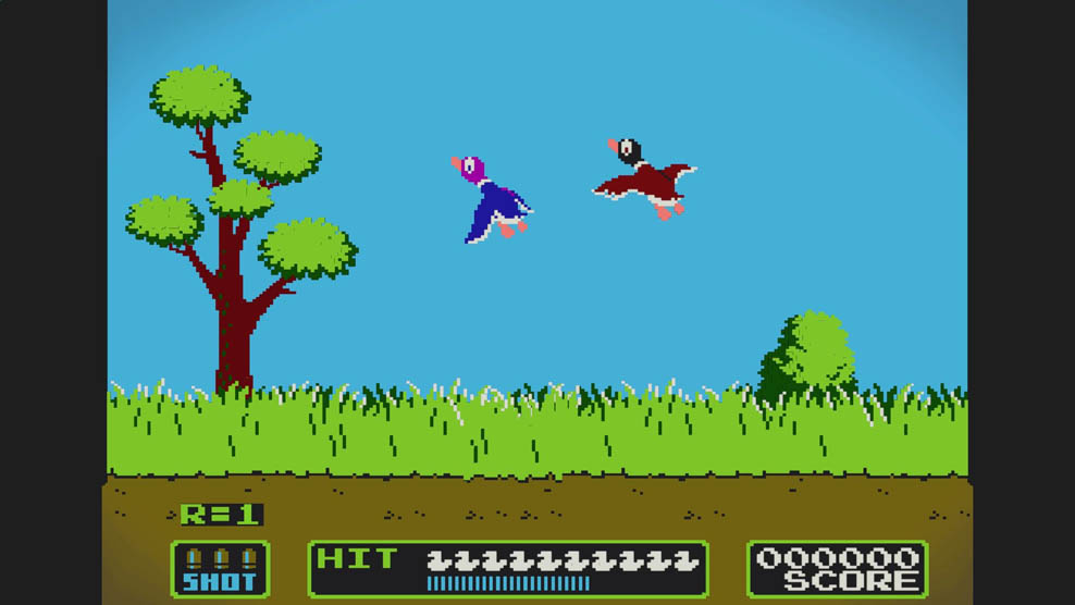 Duck Hunt